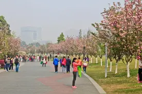 成都双流的房价凭什么那么高，谁给的底气？图片