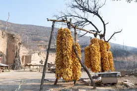 世外桃源，田园生活，一个去了就不想走的地方图片