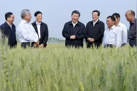 人民领袖丨田埂上的习近平图片