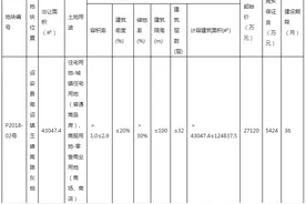 诏安土拍：世茂以楼面价约2512元/㎡，竟得P2018-02号地块图片