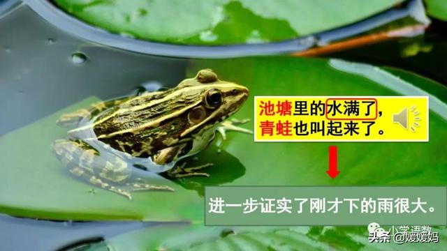 二年级下册语文课文16《雷雨》图文详解及同步练习