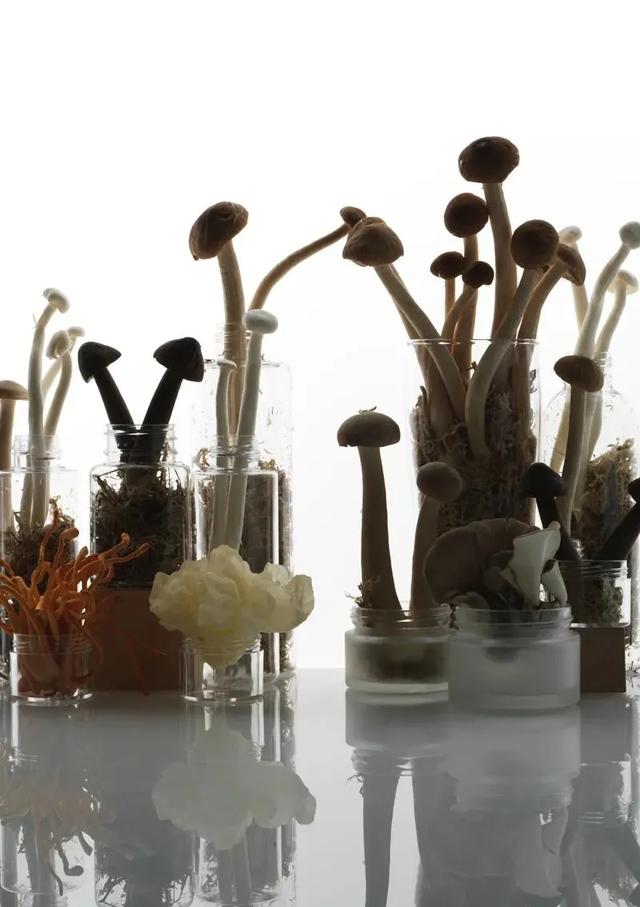 2021年“最热门护肤成分”出炉，排名第一的竟然是禁用成分