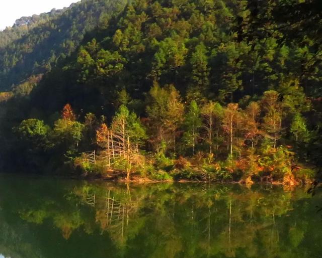 秋风吻尽银杏叶，艳遇醉美帽子峰
