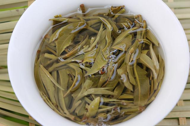 古树生普有什么优势？普洱古树生茶怎么喝比较好？