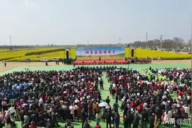 今年花开逛咸阳“油菜花海醉旬邑”旬邑县建农农业油菜花节开幕图片
