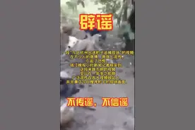 辟谣！网传猎狗追豹视频并非杭州搜寻现场图片