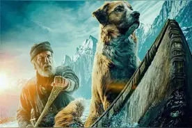 《野性的呼唤》：那里早已没了黄金，这个故事还有意义吗？图片