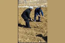 网红抖音最近较红的一首歌《点歌的人》，人这一生啊！图片