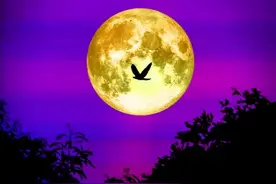 捣练子•秋月冷（原创）图片