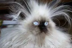 一到冬天总被"电"？10个小窍门 轻松搞定“静电”图片