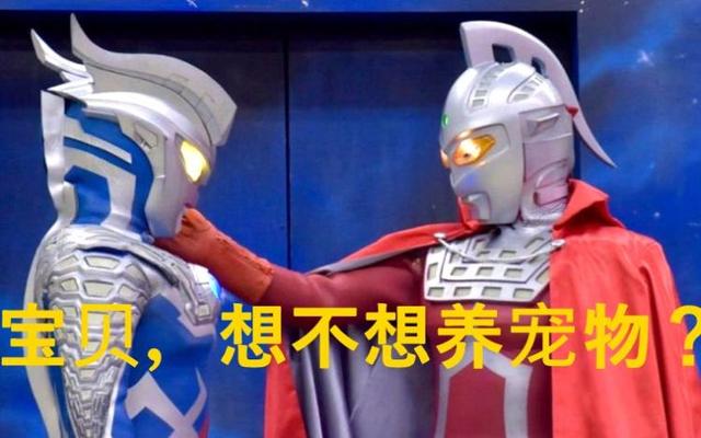 四个养宠物的奥特曼，泰罗的很可爱，他却被宠物打伤！