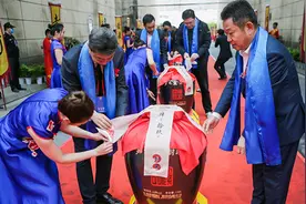 洋河首次“云直播”封藏大典，没想到引来800万网友围观图片