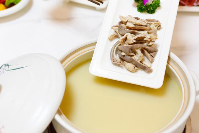 猪肚花胶土鸡煲 2026年猪肚鸡花胶鸡汤料