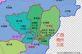 广西梧州3区9镇、岑溪14镇的变迁：人口、土地、工业…基本统计图片
