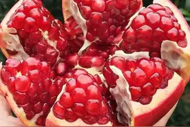 中国石榴排名，谁才是你心中的“石榴之乡”？谁才是第一图片