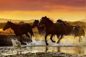 汽车上说的功率？马力？扭矩？都是啥意思？图片