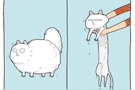 猫咪到底有多“贱”？俄罗斯插画师用四格漫画告诉你图片