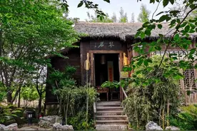 5万一棵，鄢陵这里的树图片