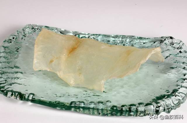 蝴蝶胶 花胶 2026年蝴蝶胶与花胶区别