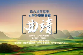 「云视网评」曲靖：“小黄姜”助推脱贫致富驶入快车道图片
