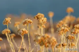 不管夫妻还是恋人，相处时坚持这三个原则，男人才会高看你图片