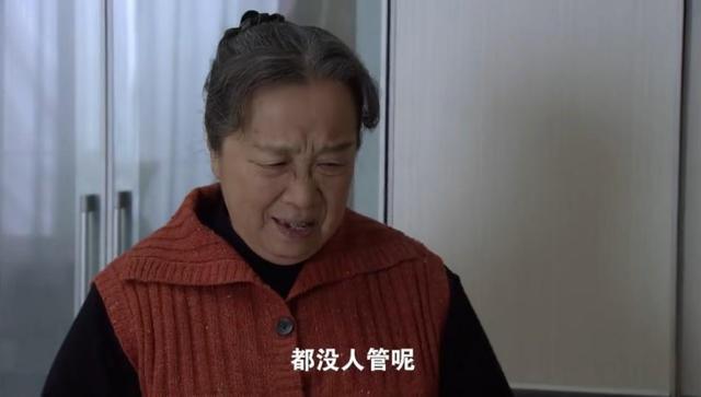 《双面胶》：被家暴的胡丽鹃很悲惨？亚平妈才是全剧最可怜的女人