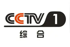 中央电视台的20个频道图片