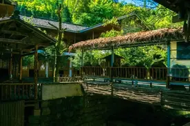 「楠木溪」走进世外桃源图片