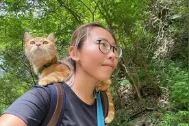 她摔下山昏迷，猫咪叫醒并指路，这些救人行为让我大吃一惊图片