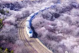 居庸关花海栈道开放！看开往春天的列车，观长城脚下的花海，美哭了...图片