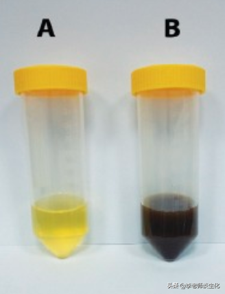 氨基酸的碳架氧化（二）