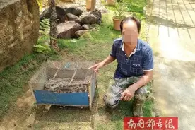 ​抓蟒蛇还发抖音、非法收购野生动物...海南警方侦破一批涉野生动物刑事案件图片