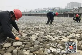乡愁回来了！生态修复让百二河再现秀美风光图片