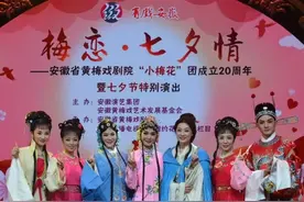 安徽省黄梅戏剧院“小梅花”剧团建团20周年专场演出盛大举行图片