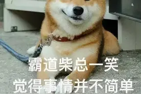 陕西高校新生大数据揭秘！一分钟带你了解新朋友们图片