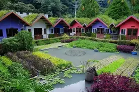小而精的农场如何做？2个30亩精品案例告诉你图片