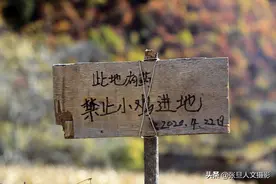 去山西农村 遇到76岁老大娘 过着城市不换的生活 农家小院美图片