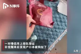 情侣5·20领结婚证，回家后户口本就被狗狗撕…烂…了…图片