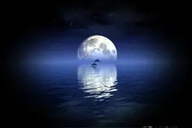 选择沉入《海底》的有你吗？图片