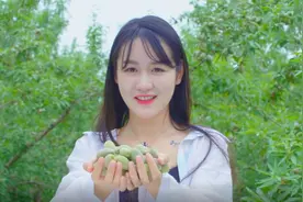 山东巴旦木种植一棵树能产多少斤？亩产效益怎么样？图片