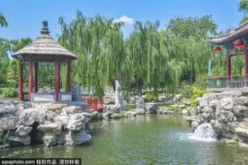 无需预约！北京二环里最“灵”的公园，美出了新高度！快来感受碧波荡漾，绿柳拂面图片