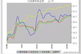 目前能繁母猪已经4100万头了，离5000万头并不遥远了图片