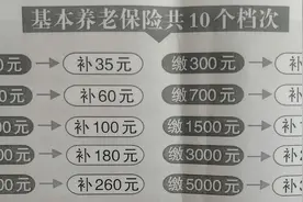 山西省城乡居民补充养老保险政策之重点强调及举例分析图片