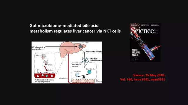 贾伟：肝病肠治？且看肠道细菌如何对肝病推波助澜