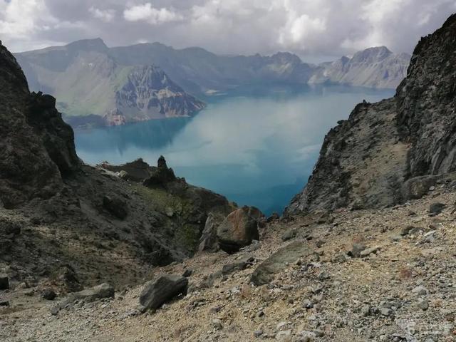 《神农识药》疏调安神汤之五味子