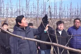 专家又来唐山玉泉山实地指导啦！高端引智让玉泉山身披彩衣 孕育财富与希望图片