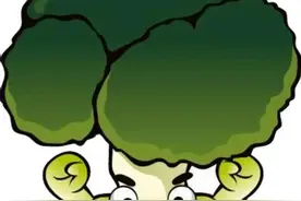 西兰花种子水提物好吃吗？图片