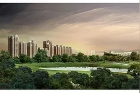 重组五个月即申请IPO，谁在驱动远洋服务的远航之路？图片