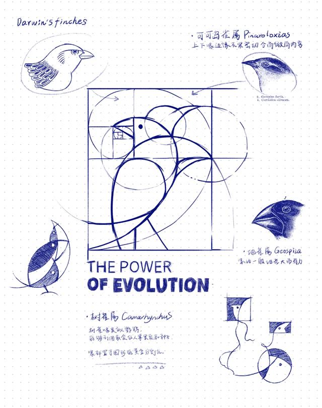 �����Ƴ����Դ�����LOGO��