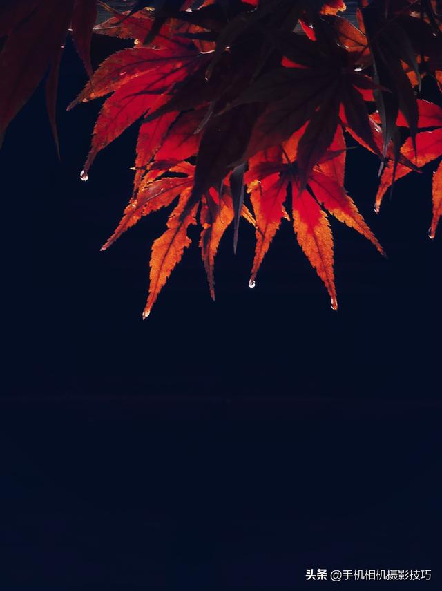 ĳζЩͨĵĺƬҲܸ